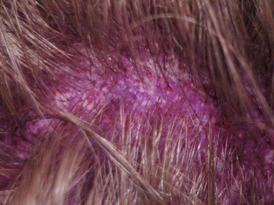 side dyed a deep lilac purple that contrasts well with the black hair.