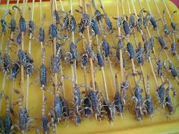 7-27food-scorpions